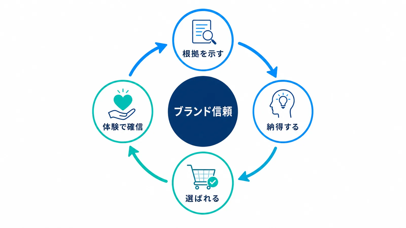 ブランド信頼構築サイクル：顧客の信頼構築、ブランドベネフィット定義、具体的属性提示、顧客安心感向上